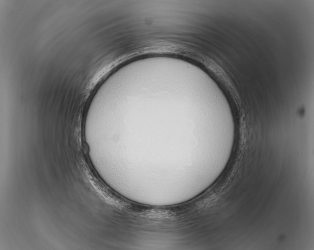 X0000115710842200912031526