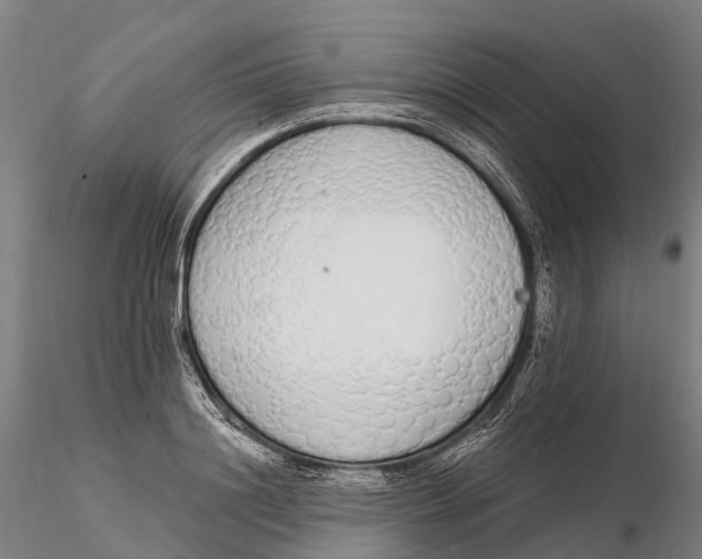 X0000115710844200912031526