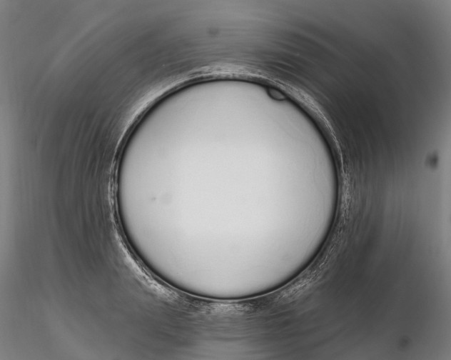 X0000115710847200912031526