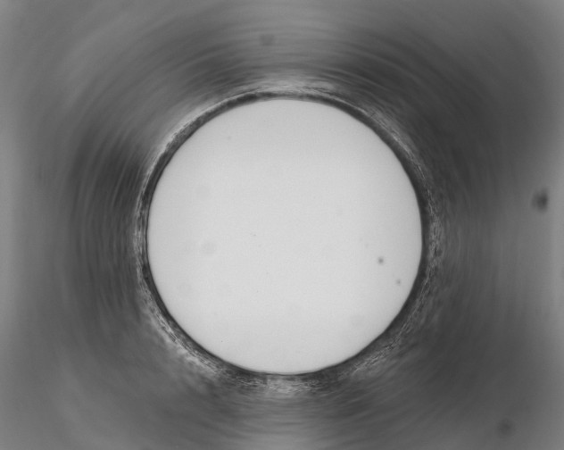 X0000115710848200912031526