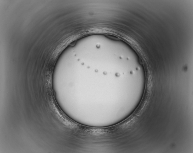 X0000115710849200912031526