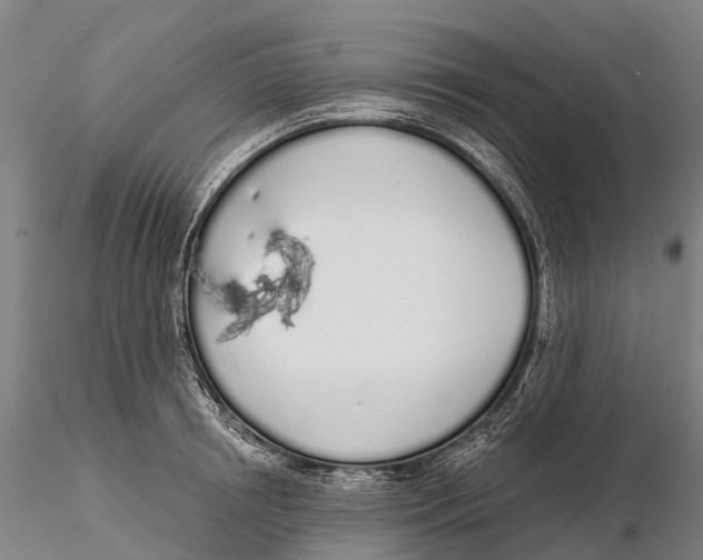 X0000115710850200912031526