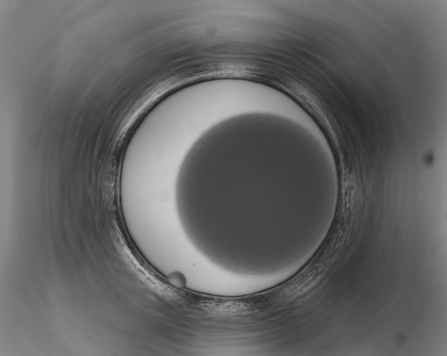 X0000115710851200912031526