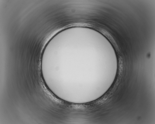 X0000115710852200912031526