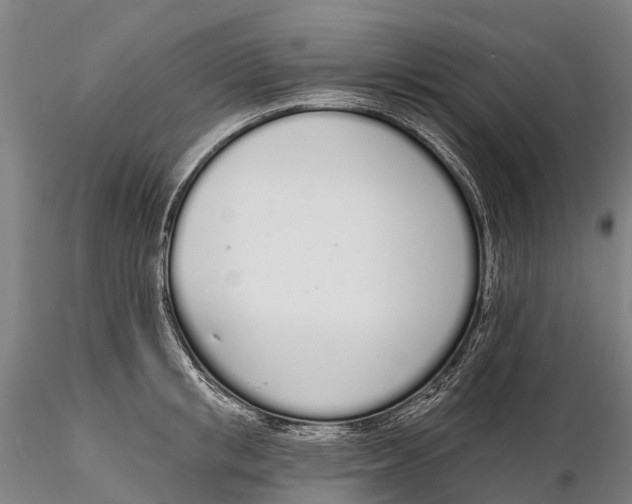 X0000115710853200912031526