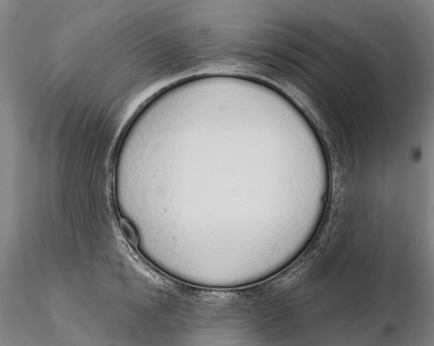 X0000115710854200912031526