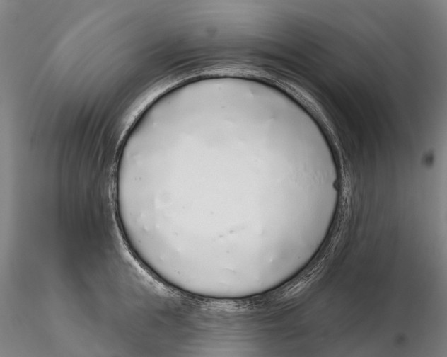 X0000115710855200912031526