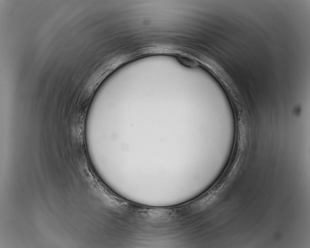 X0000115710857200912031526