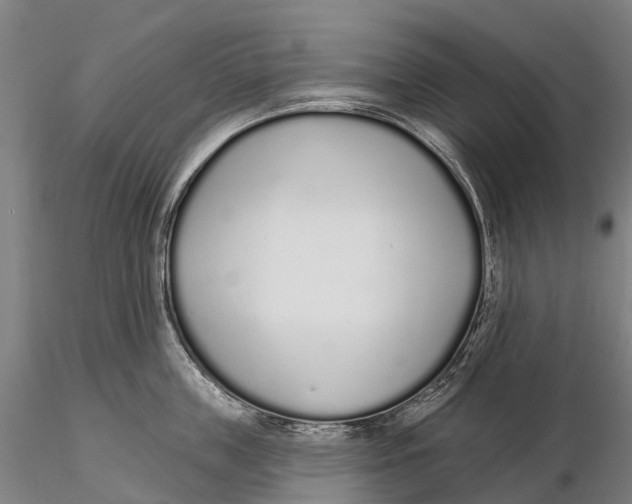 X0000115710859200912031526