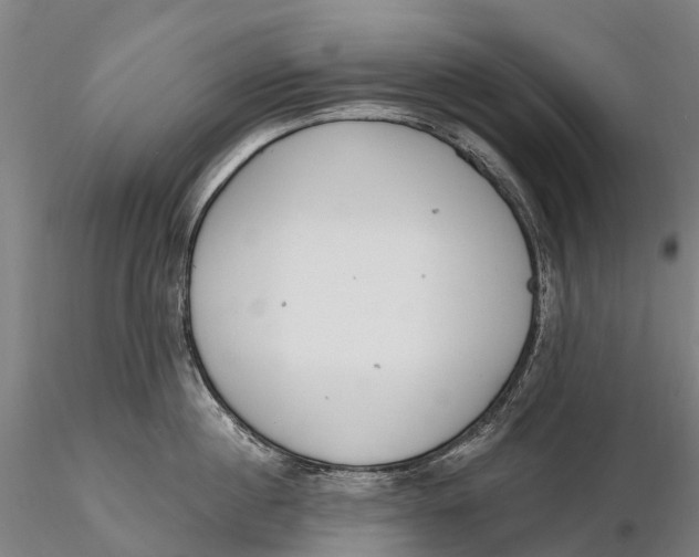 X0000115710860200912031526