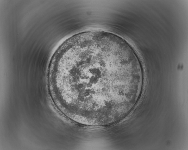 X0000115710864200912031527