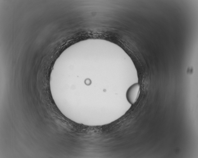 X0000115710865200912031526