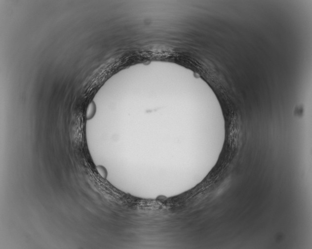 X0000115710866200912031526