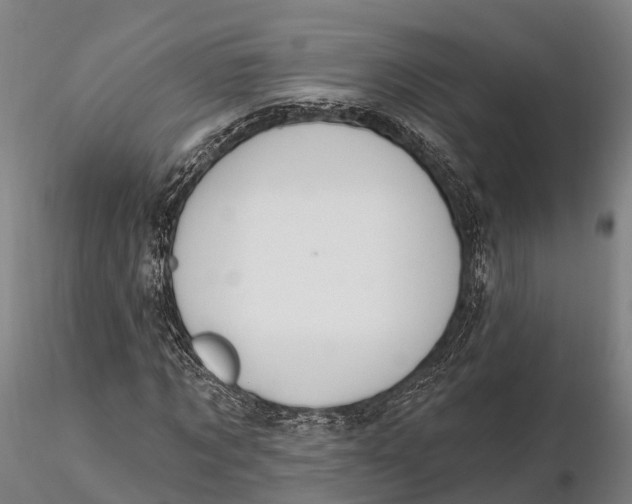 X0000115710869200912031526