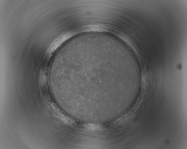 X0000115710874200912031526