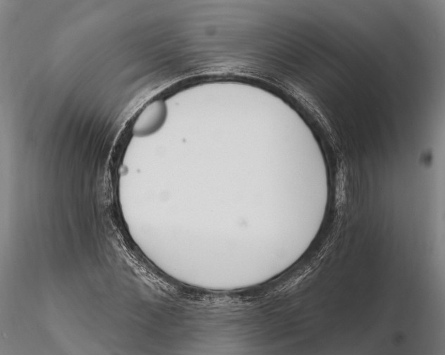 X0000115710876200912031526