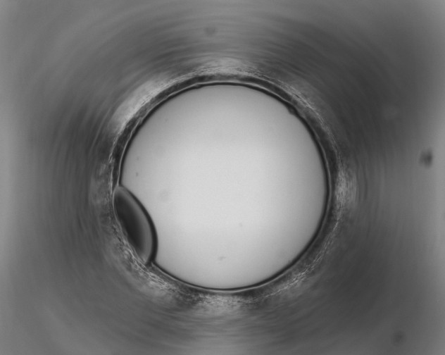 X0000115710877200912031526