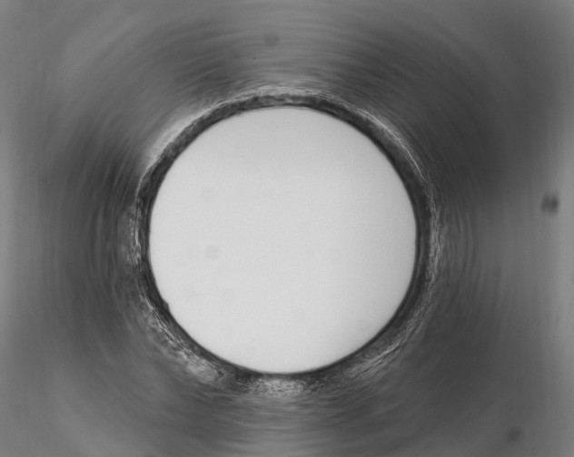 X0000115710878200912031526