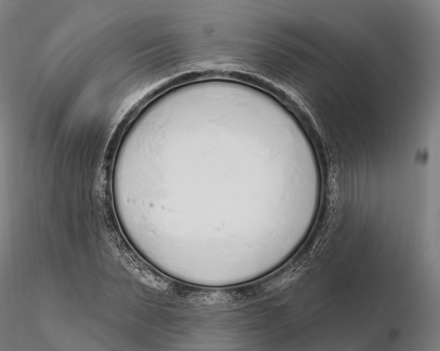 X0000115710879200912031526