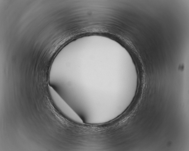 X0000115710881200912031526