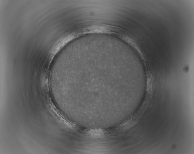 X0000115710882200912031526