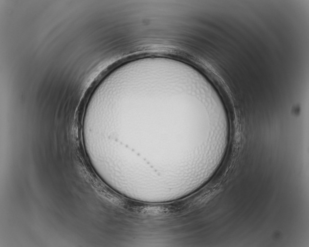 X0000115710883200912031526