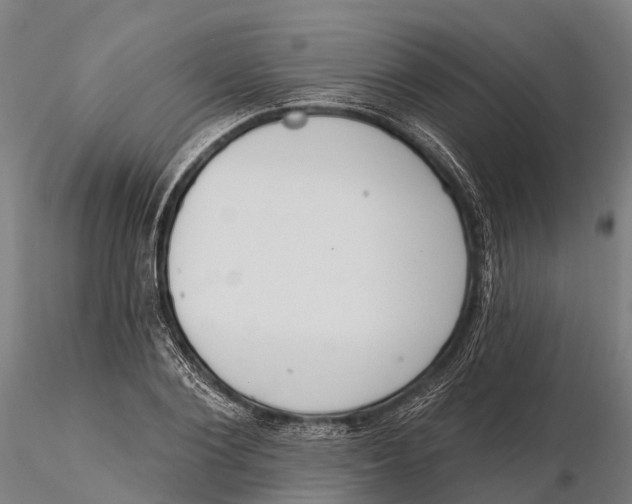 X0000115710884200912031526