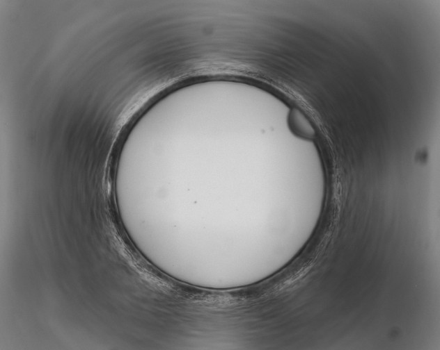 X0000115710885200912031526