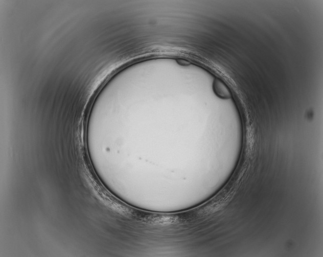 X0000115710891200912031526