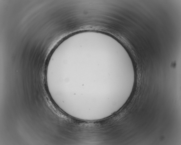 X0000115710896200912031525