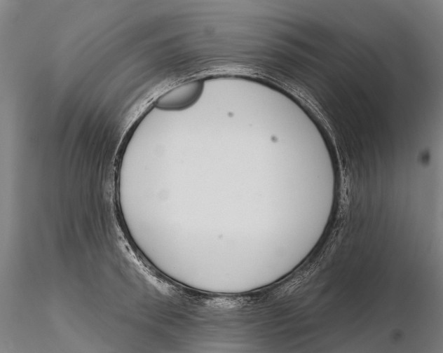 X0000115710898200912031525