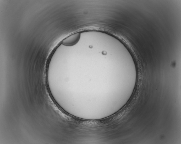 X0000115710902200912031525