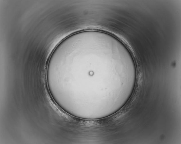 X0000115710903200912031525