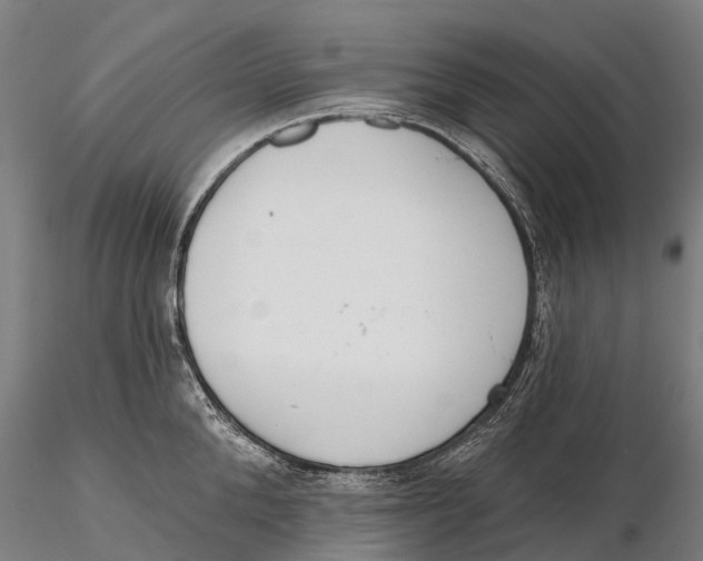 X0000115710904200912031525