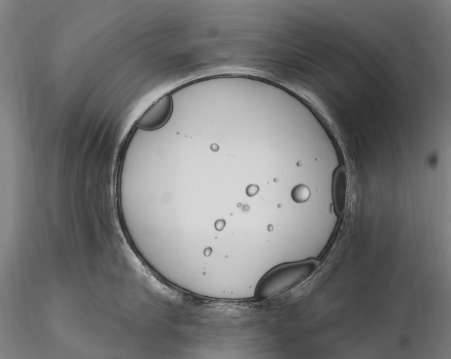 X0000115710910200912031525