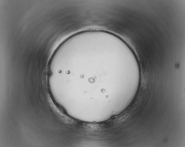 X0000115710911200912031525