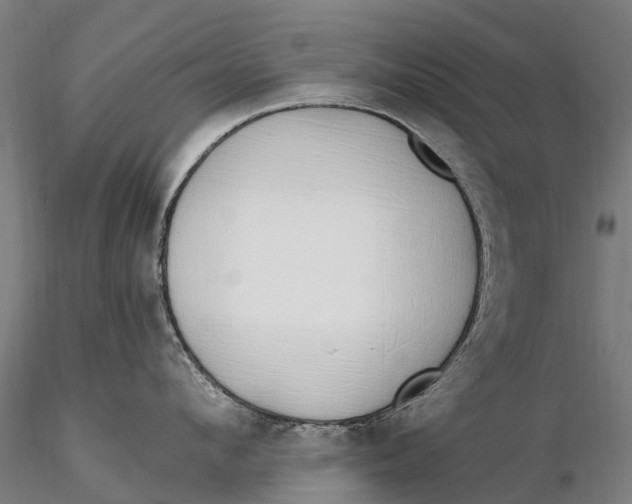 X0000115710912200912031525