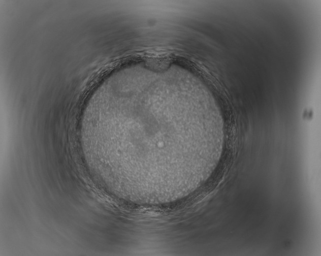 X0000115710913200912031525