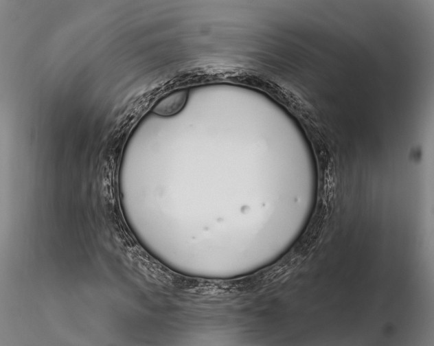 X0000115710917200912031525