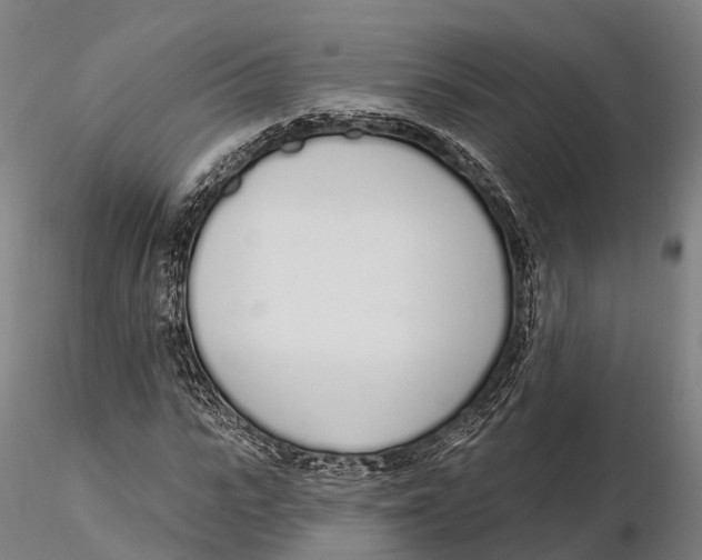 X0000115710919200912031525