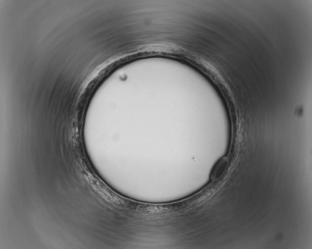 X0000115710923200912031525