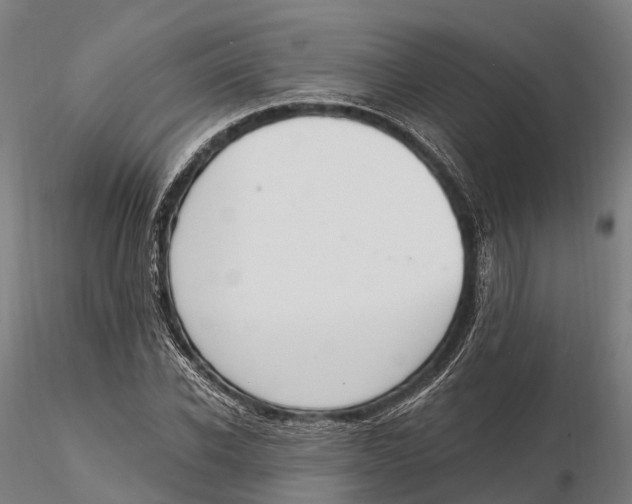 X0000115710926200912031525