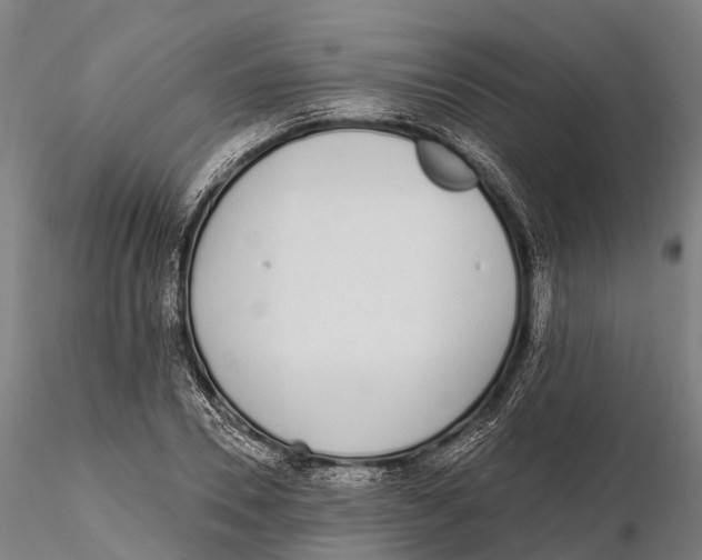 X0000115710930200912031525