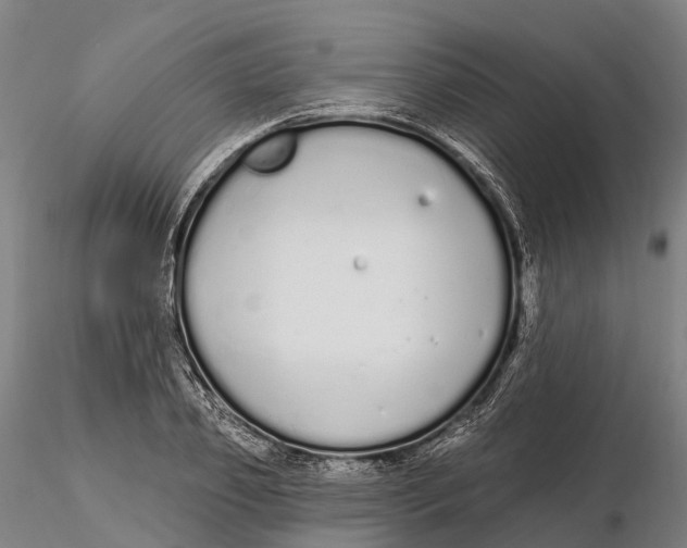 X0000115710933200912031525