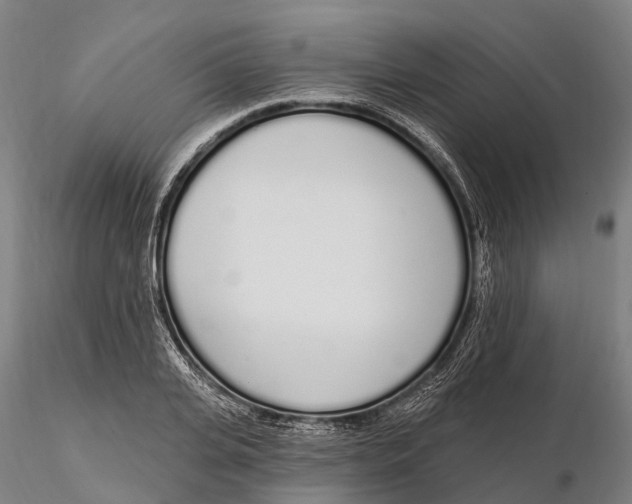 X0000115710935200912031525