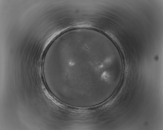 X0000115710941200912031525