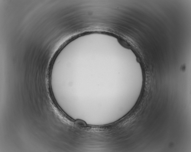 X0000115710942200912031525