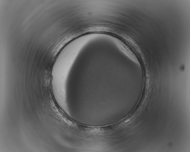 X0000115710945200912031525