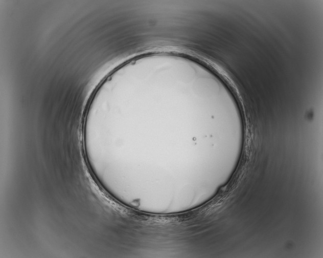 X0000115710951200912031525