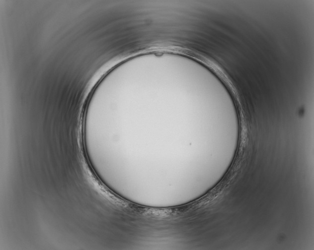 X0000115710955200912031525